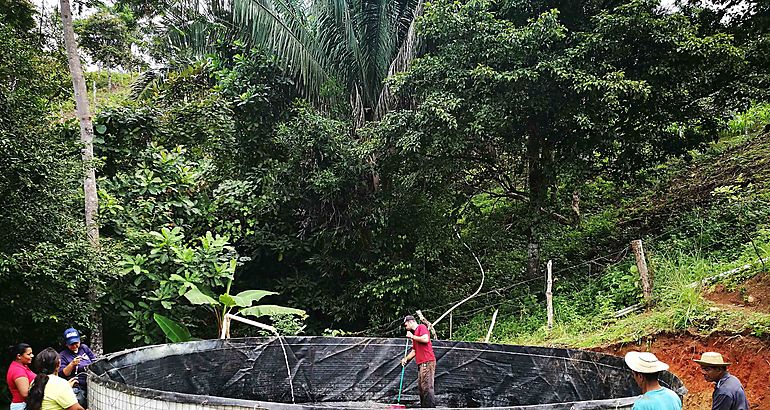 Proyecto para la produccin de peces