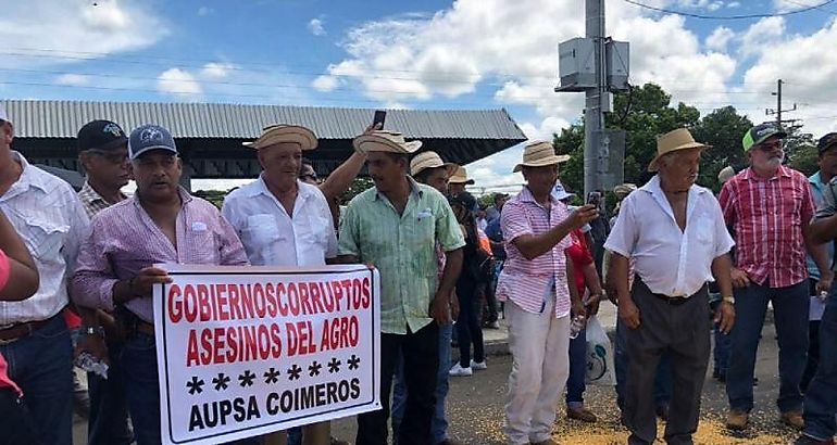 PRD apoya a productores nacionales 