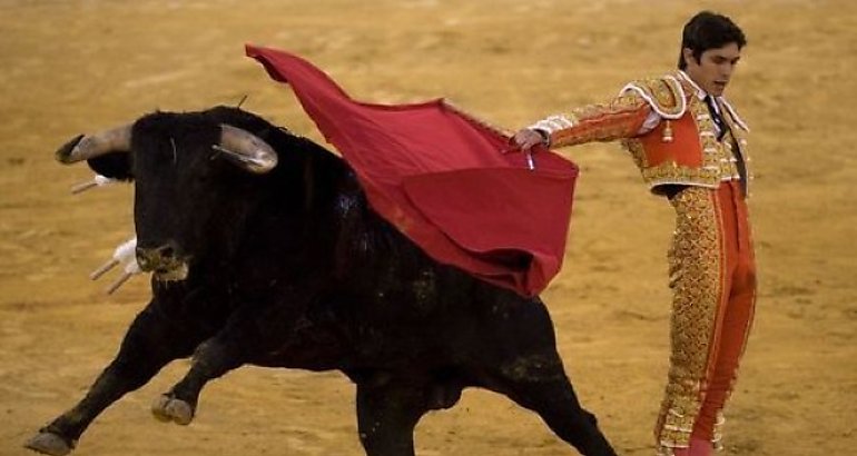 Corridas de toros