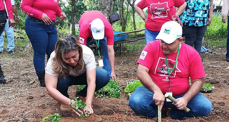 1600 plantones se sembraron como parte del programa de voluntariado 