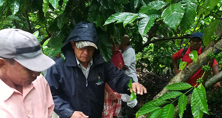 Capacitan en Manejo de Plagas del Caf