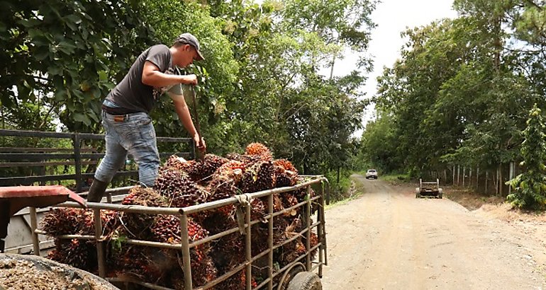 Caminos de produccin