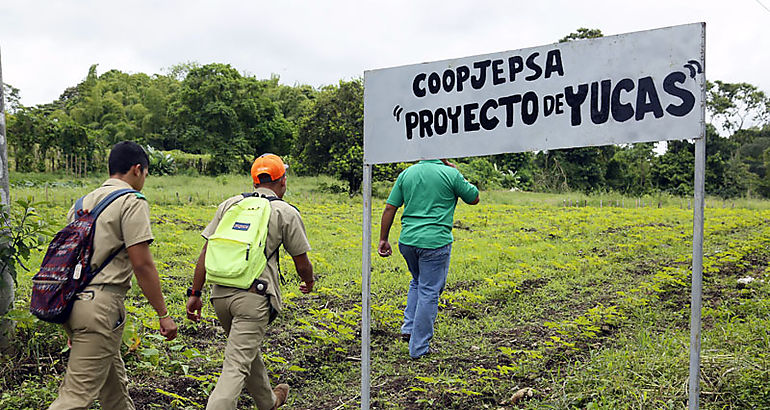 Cooperativa Juvenil Escolar San Andres RL