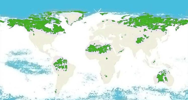 Mapa global de regiones con ecosistemas intactos