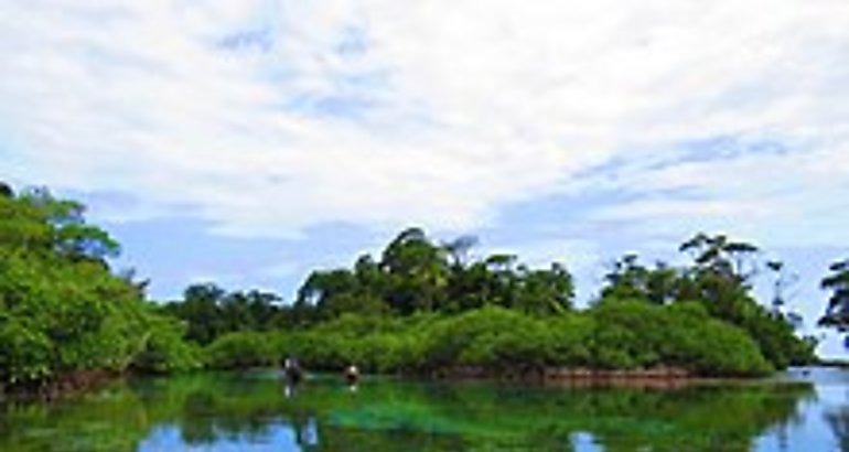 Isla Escudo de Veraguas