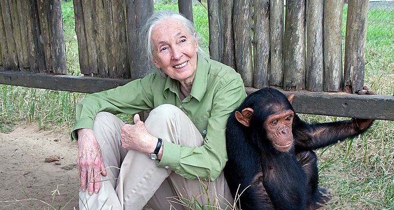 Jane Goodall