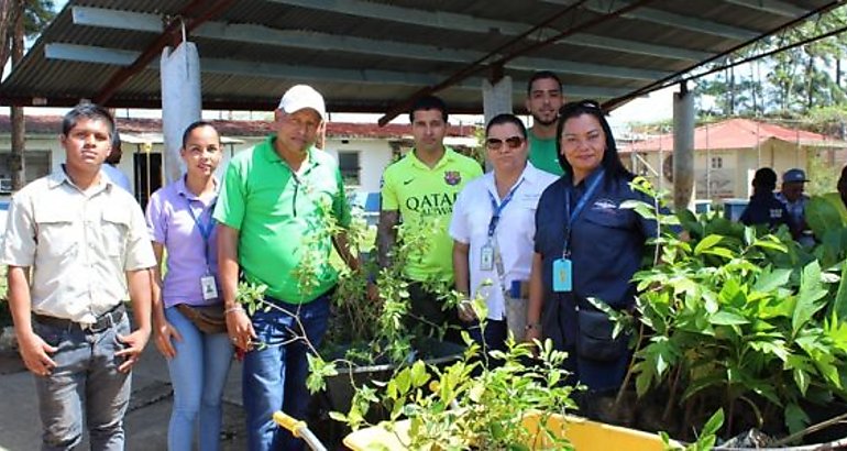  Sembrando PazReforestando Vida de La Joyita en la Comarca Ngabe Bugle