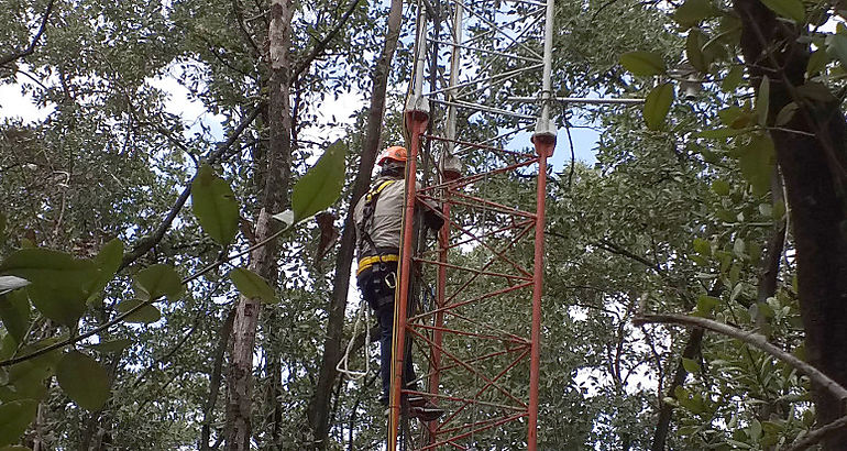 Investigadores del CIHH realizan gira a manglar de Juan Daz