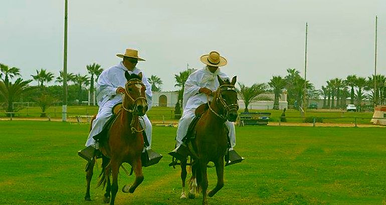 Caballo Peruano de Paso