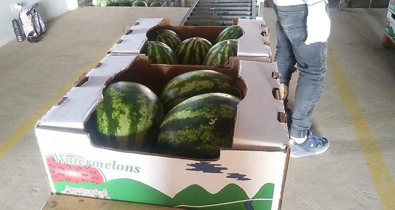 Agrotropical Sostenible SA enva a Holanda sandias