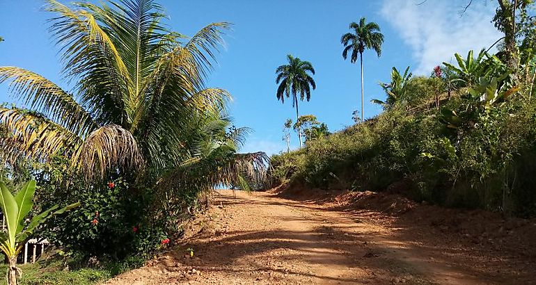 Bocas del Toro