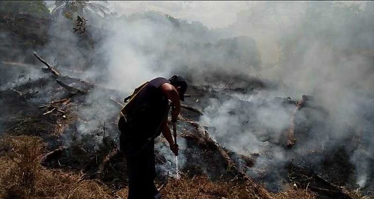 Incendio de masa vegetal