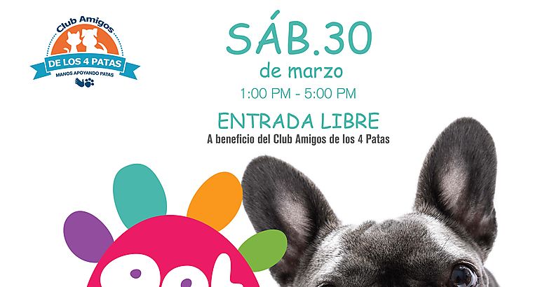 BBQ  pet day uniendo fuerzas en beneficio de los caninos abandonados 