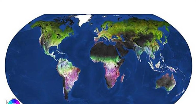 Mapa sobre el cambio de vegetacin estacional global