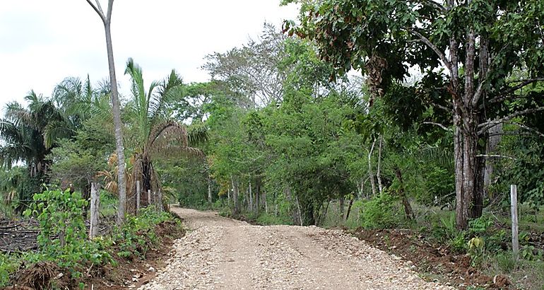 caminos de produccin en Darin