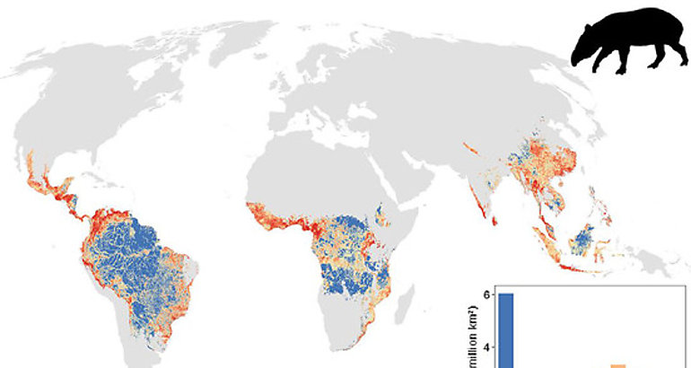 Primeros mapas de la defaunacin por esta actividad