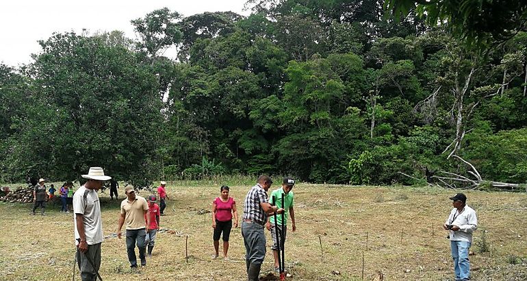 MIDA Cocl y Cobre Panam capacitan a productores en el cultivo de pltano