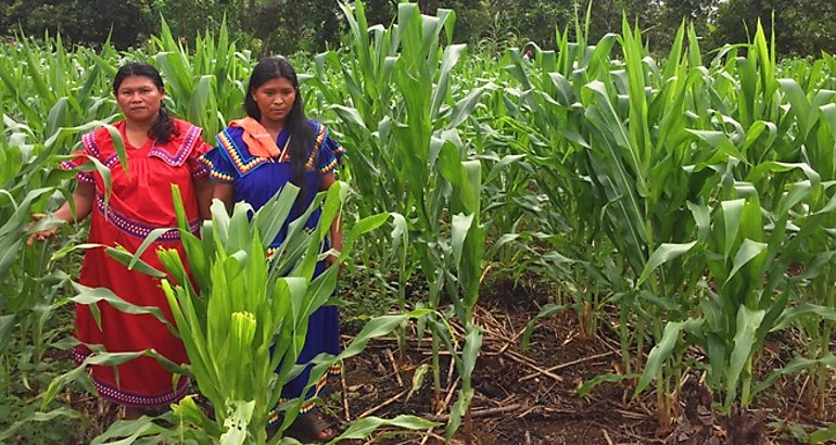 Mujer rural