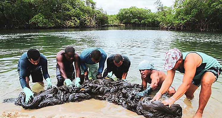 contaminacin en costas de Brasil