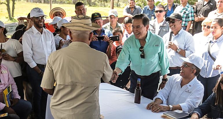 Presidente Cortizo entreg 14 sementales en Costa Abajo de Coln