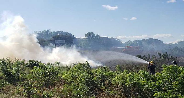  incendios de masa vegetal