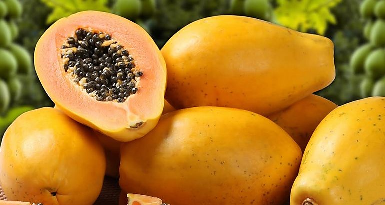 papayas