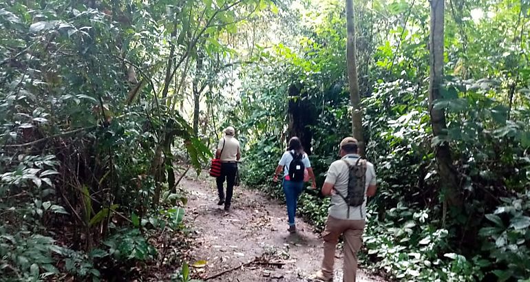 Sendero El Balsal dentro de la Reserva Hidrolgica Filo del Tallo  Cangln