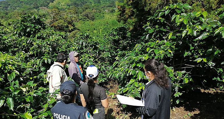 cafetaleras de Boquete