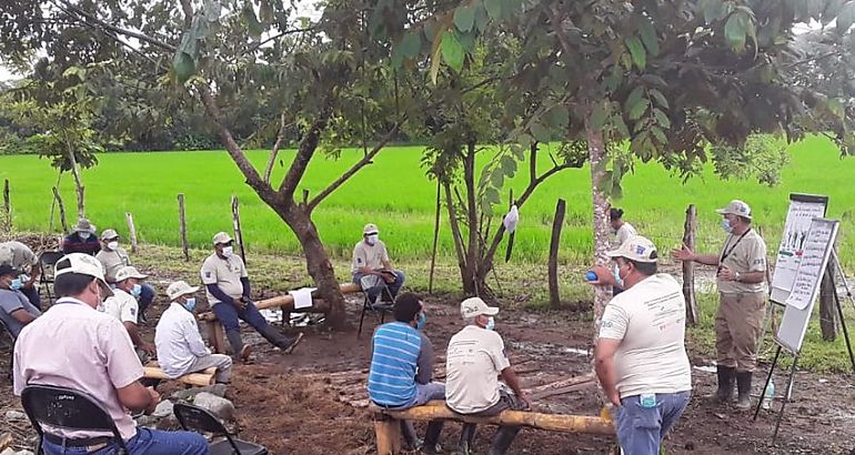 La Escuela de Campo establecida por el Ministerio de Desarrollo Agropecuario MIDA en la comunidad de San Juan distrito de San Lorenzo provincia de Chiriqu