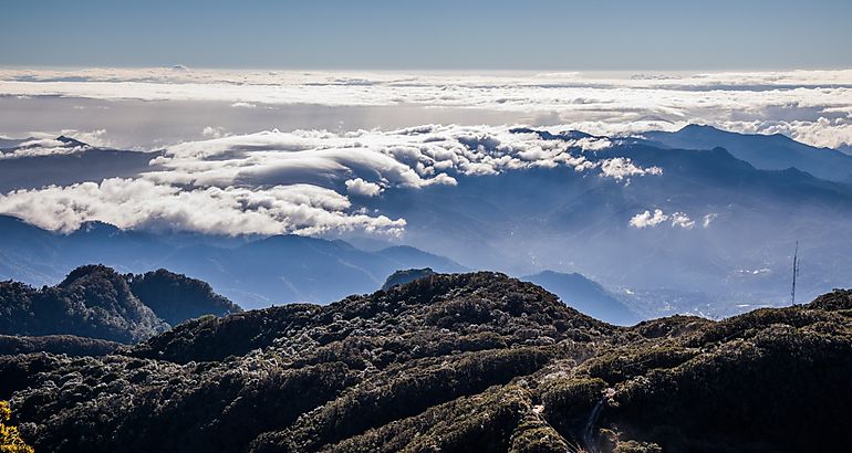 Panormica 