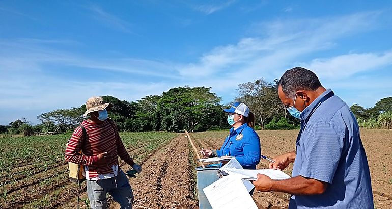 Recorridos en zonas agrcolas de la provincia de Herrera para evitar el trabajo infantil