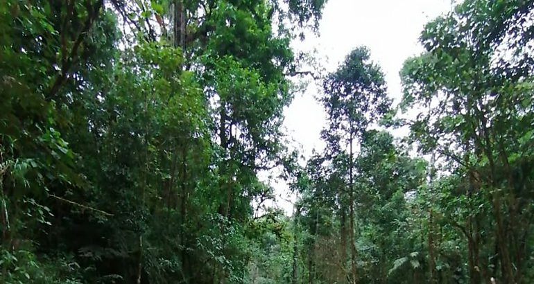 El IDAAN en Chiriqu trabaja en la construccin de la toma provisional de Chorro Blanco