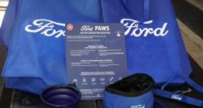 Ford promueve la adopcin de mascotas en Panam en el Da Internacional de la Felicidad