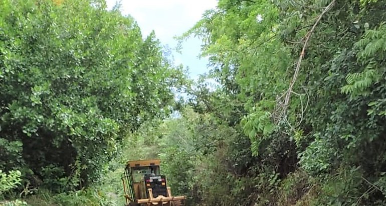 Camino de produccin