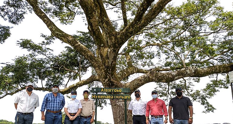 Veraguas cuenta con el primer parque interactivoforestal en el interior del pas