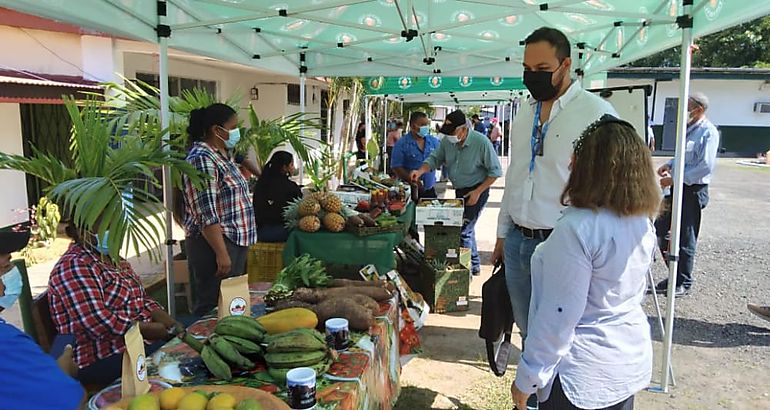 Productores de agricultura familiar de Panam Oeste 