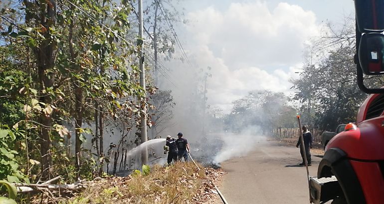  incendios de herbazales 