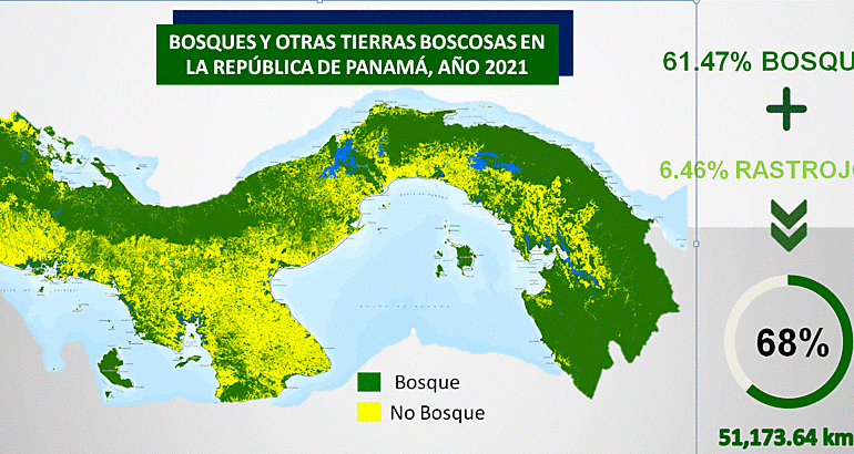 Panam incrementa en un 3 su cobertura boscosa