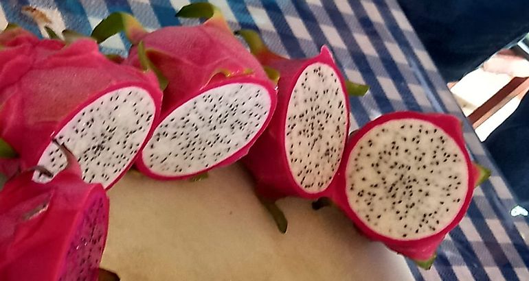 pitahaya