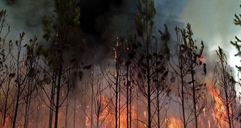 incendios forestales