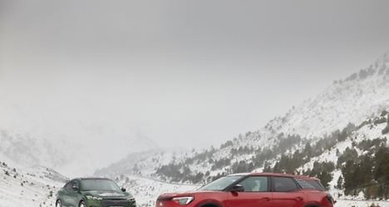 Ford Explorer y Mustang MachE Rally