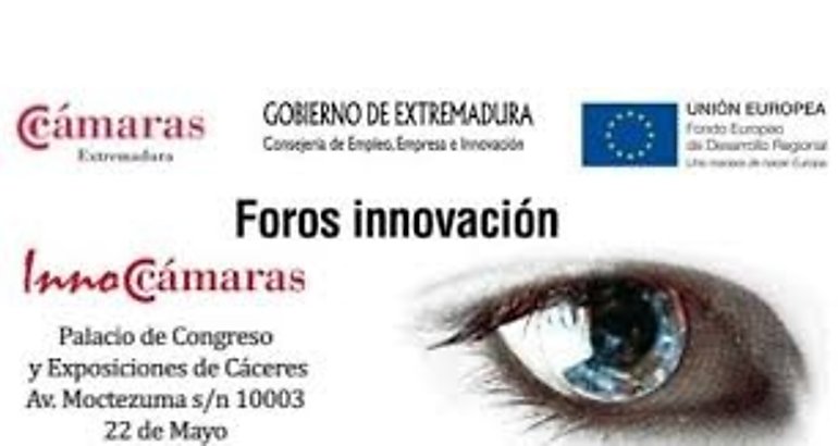 Foro de Innovacin 2013