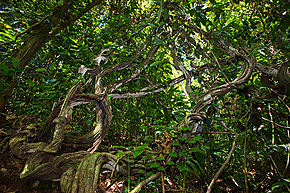 Exposicin fotogrfica: Miradas a Rutas Sostenibles