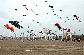  XIX Festival de Cometas y Panderos 2019