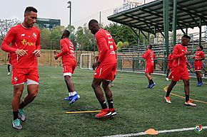 Panam vs Brasil el 23 de marzo en Portugal