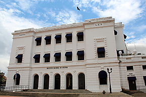 Exposicin de Michel Vincent