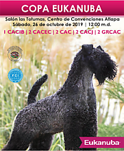 Feria canina 2019