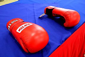 Campeonato Nacional Guantes de Oro en categora juvenil