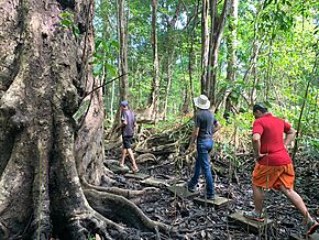 Experience Panama Expo